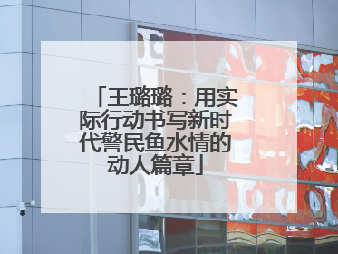 王璐璐：用实际行动书写新时代警民鱼水情的动人篇章