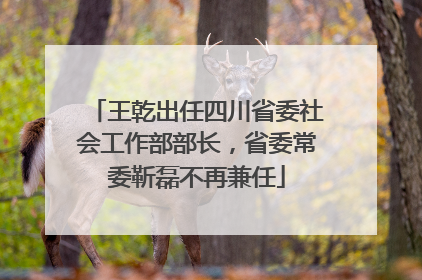 王乾出任四川省委社会工作部部长，省委常委靳磊不再兼任
