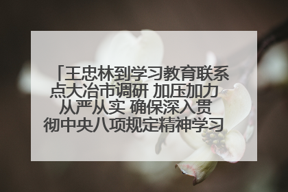 王忠林到学习教育联系点大冶市调研 加压加力 从严从实 确保深入贯彻中央八项规定精神学习教育取得实效