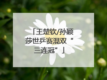 王楚钦/孙颖莎世乒赛混双“三连冠”