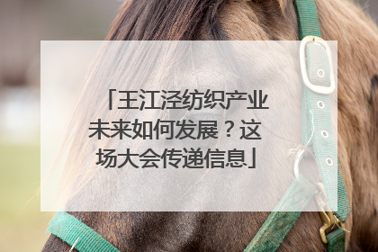 王江泾纺织产业未来如何发展？这场大会传递信息
