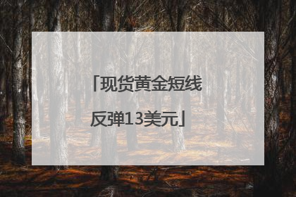 现货黄金短线反弹13美元