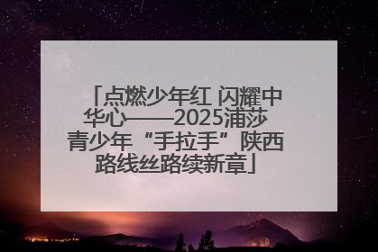 点燃少年红 闪耀中华心——2025浦莎青少年“手拉手”陕西路线丝路续新章