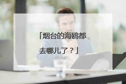 烟台的海鸥都去哪儿了？