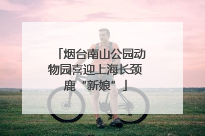 烟台南山公园动物园喜迎上海长颈鹿“新娘”