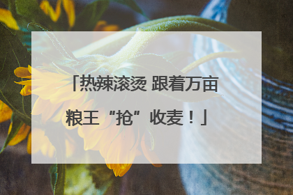 热辣滚烫 跟着万亩粮王“抢”收麦！