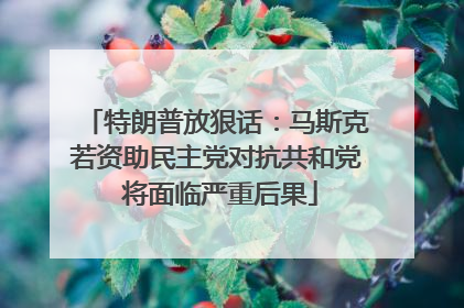 特朗普放狠话：马斯克若资助民主党对抗共和党 将面临严重后果