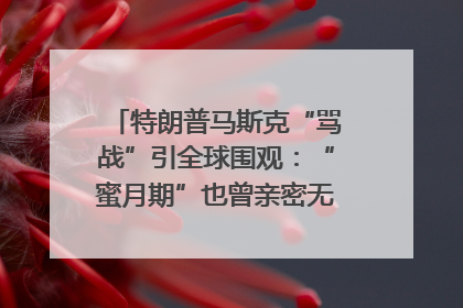 特朗普马斯克“骂战”引全球围观：“蜜月期”也曾亲密无间｜国际观察