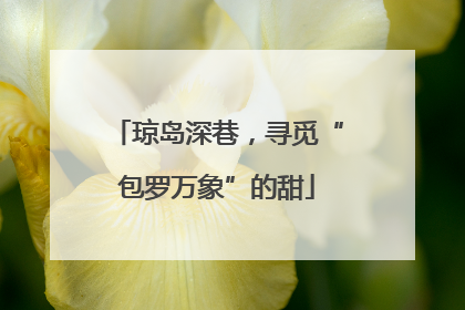 琼岛深巷，寻觅“包罗万象”的甜