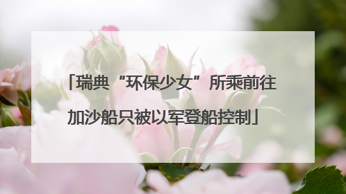 瑞典“环保少女”所乘前往加沙船只被以军登船控制