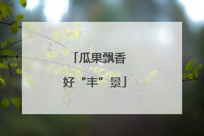 瓜果飘香 好“丰”景