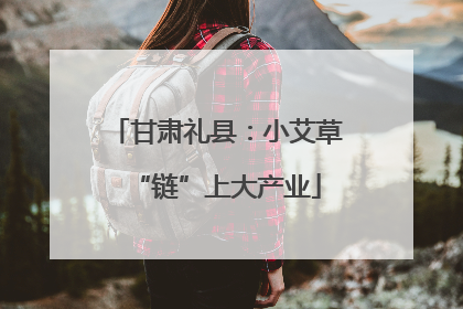 甘肃礼县：小艾草“链”上大产业