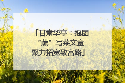甘肃华亭：抱团“蔬”写菜文章 聚力拓宽致富路