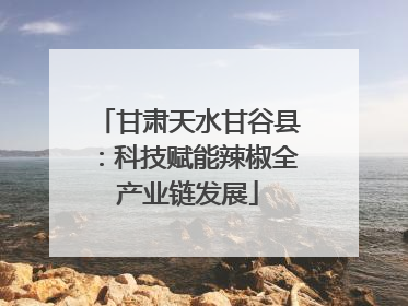 甘肃天水甘谷县：科技赋能辣椒全产业链发展