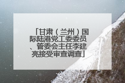 甘肃（兰州）国际陆港党工委委员、管委会主任李建亮接受审查调查