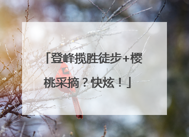 登峰揽胜徒步+樱桃采摘？快炫！