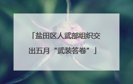 盐田区人武部组织交出五月“武装答卷”