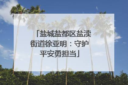 盐城盐都区盐渎街道徐亚明：守护平安勇担当