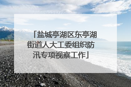 盐城亭湖区东亭湖街道人大工委组织防汛专项视察工作