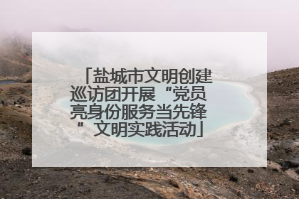 盐城市文明创建巡访团开展“党员亮身份服务当先锋”文明实践活动