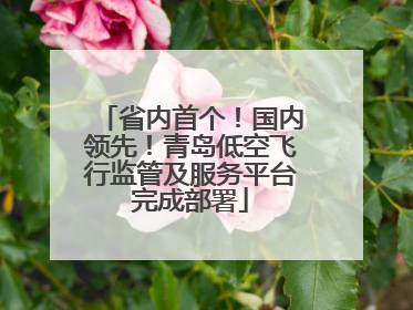 省内首个！国内领先！青岛低空飞行监管及服务平台完成部署