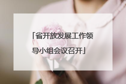 省开放发展工作领导小组会议召开