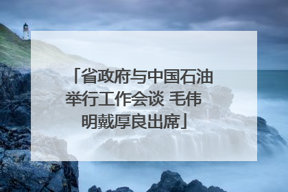 省政府与中国石油举行工作会谈 毛伟明戴厚良出席