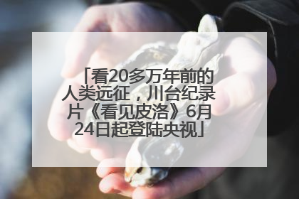 看20多万年前的人类远征，川台纪录片《看见皮洛》6月24日起登陆央视