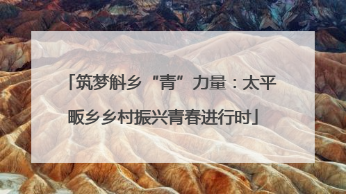 筑梦斛乡“青”力量：太平畈乡乡村振兴青春进行时