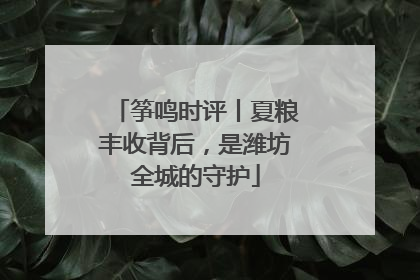 筝鸣时评丨夏粮丰收背后，是潍坊全城的守护
