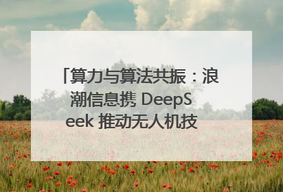 算力与算法共振：浪潮信息携 DeepSeek 推动无人机技术在舟山落地