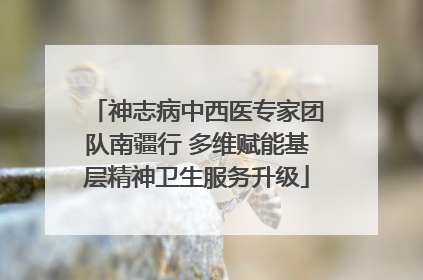 神志病中西医专家团队南疆行 多维赋能基层精神卫生服务升级