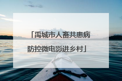 禹城市人畜共患病防控微电影进乡村