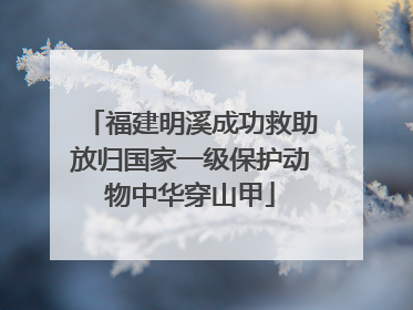福建明溪成功救助放归国家一级保护动物中华穿山甲