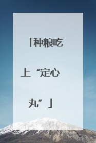 种粮吃上“定心丸”
