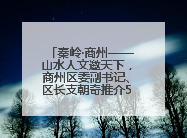 秦岭·商州——山水人文邀天下，商州区委副书记、区长支朝奇推介5个重点招商项目