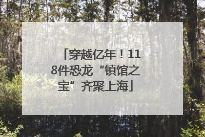 穿越亿年！118件恐龙“镇馆之宝”齐聚上海