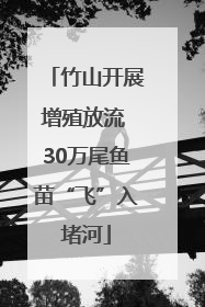 竹山开展增殖放流 30万尾鱼苗“飞”入堵河