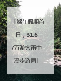 端午假期首日，31.67万游客雨中漫步游园