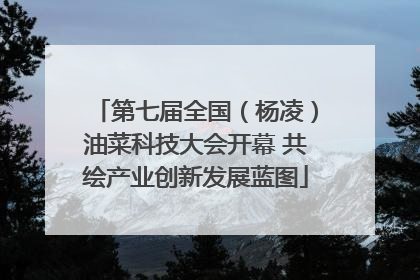 第七届全国（杨凌）油菜科技大会开幕 共绘产业创新发展蓝图