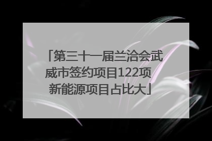 第三十一届兰洽会武威市签约项目122项 新能源项目占比大