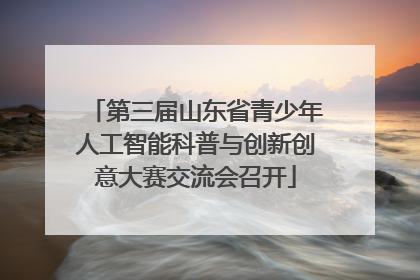 第三届山东省青少年人工智能科普与创新创意大赛交流会召开