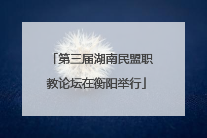 第三届湖南民盟职教论坛在衡阳举行