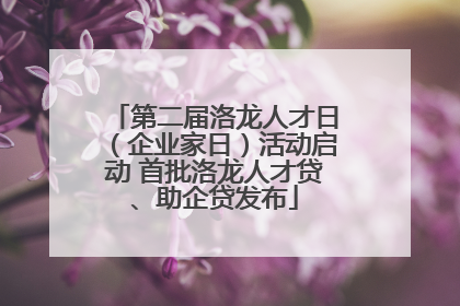 第二届洛龙人才日（企业家日）活动启动 首批洛龙人才贷、助企贷发布