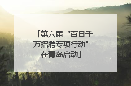 第六届“百日千万招聘专项行动”在青岛启动