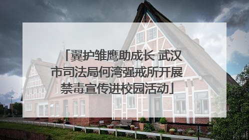 翼护雏鹰助成长 武汉市司法局何湾强戒所开展禁毒宣传进校园活动