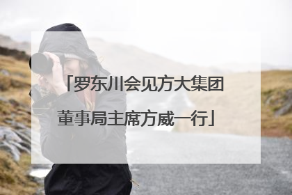 罗东川会见方大集团董事局主席方威一行