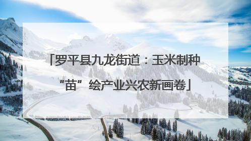 罗平县九龙街道：玉米制种“苗”绘产业兴农新画卷