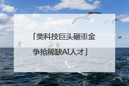 美科技巨头砸重金争抢稀缺AI人才