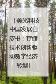 美光科技中国发展白皮书：存储技术创新驱动数字经济转型